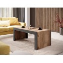 Table basse 120 cm WODD style industriel