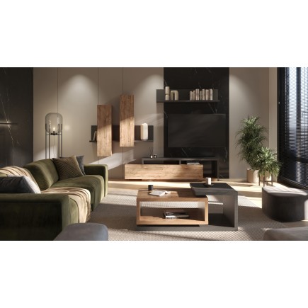 Botia – Ensemble TV Mural