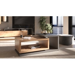 Botia – Table Basse moderne
