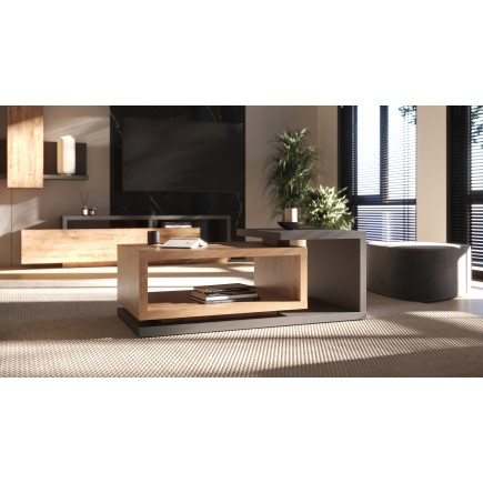 Botia – Table Basse