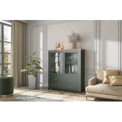 Evoria – Vitrine basse 2 portes, 2 tiroirs vert profond