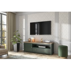 Meuble TV Evoria 1 porte 1 tiroir vert profond