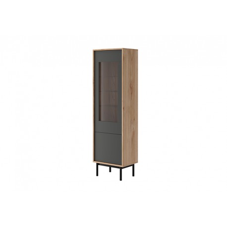 Vitrine 1 portes industrielle BASI 54 cm avec porte vitrée et pied en métal
