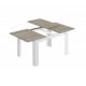 Table extensible scandinave KENDA